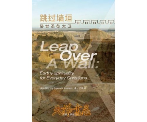 跳过墙垣——俗世圣徒大卫 (新版) (Leap Over A Wall: Earthy spirituality for Everyday Christians  